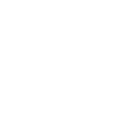 MetaVisia Logo